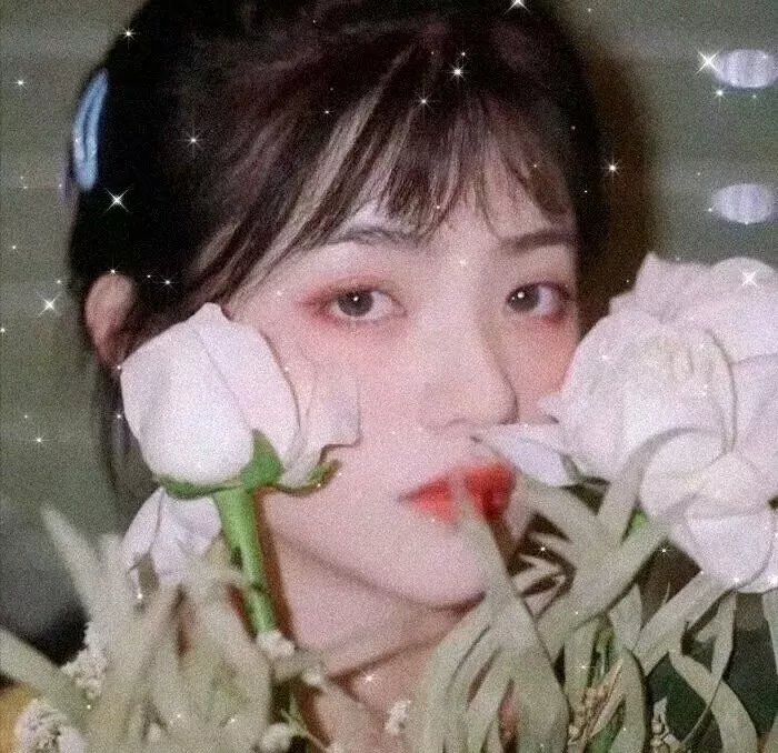 花花万物万花筒